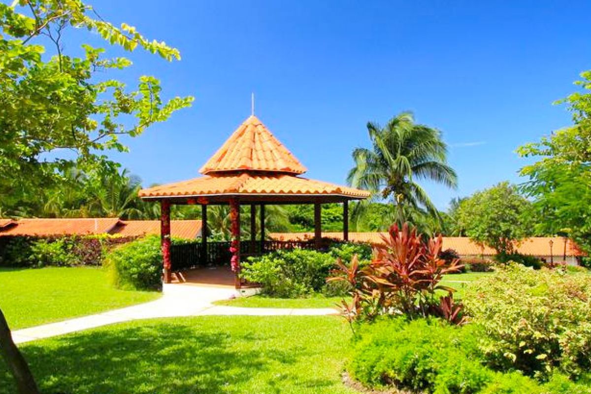 Sugarcane at the Club Barbados Hotel Deal