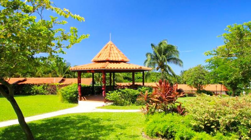 Sugarcane at the Club Barbados Hotel Deal