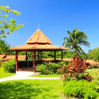 Sugarcane at the Club Barbados Hotel Deal