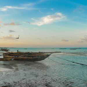 Zanzibar Flight Deals