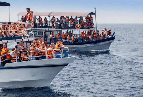 Sri Lanka Wildlife Holiday