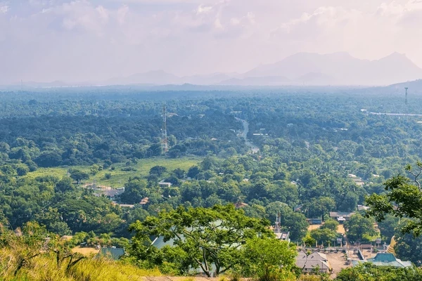 Sri Lanka Escorted Tour