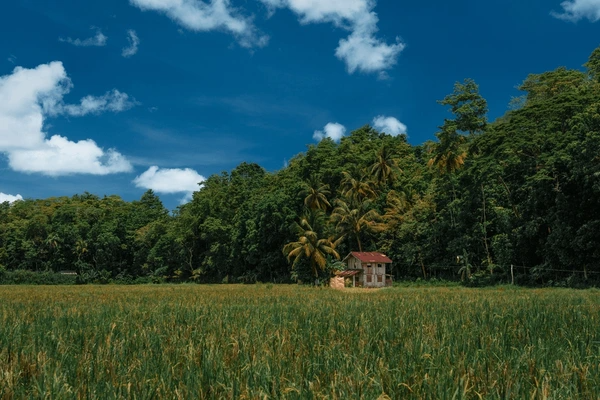 Manila, Cebu, Dumaguete, Siquijor & Bohol Holiday