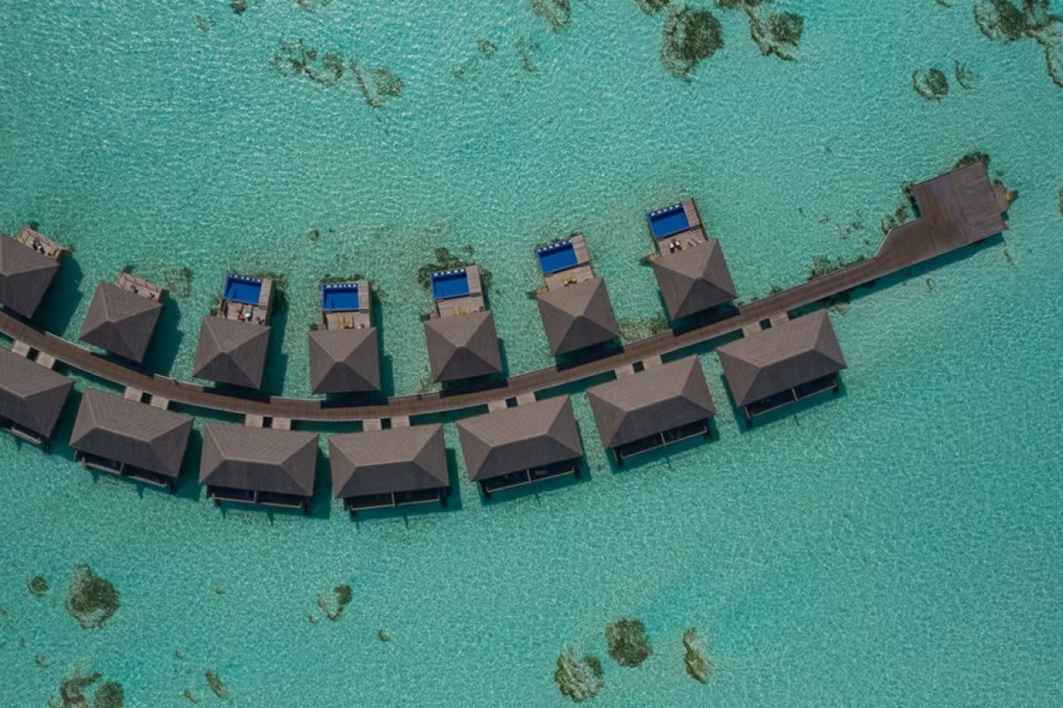 Cocoon Maldives