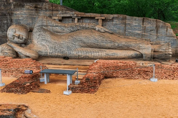 Sri Lanka Safari Odyssey: Nature’s Kingdom