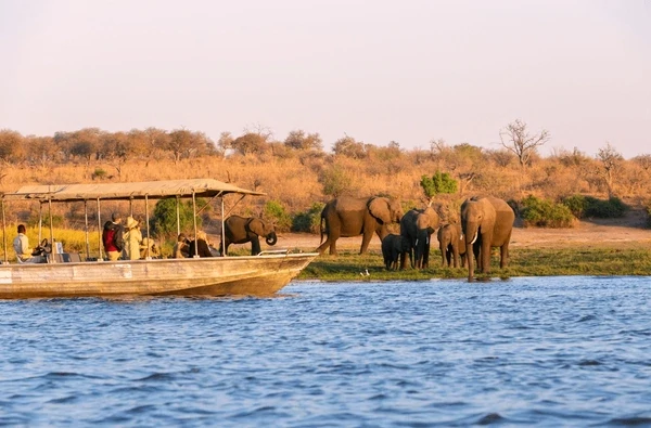 Sri Lanka Safari Odyssey: Nature’s Kingdom