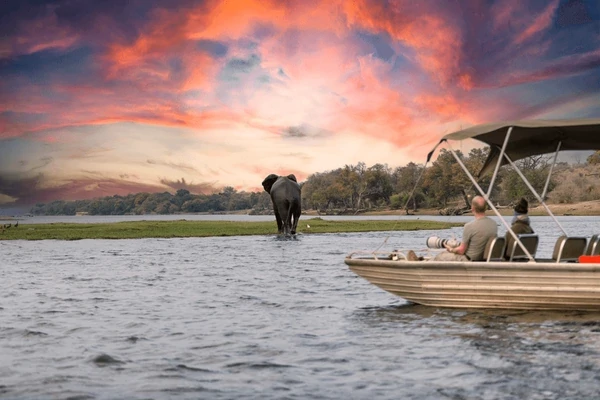 Sri Lanka Safari Odyssey: Nature’s Kingdom