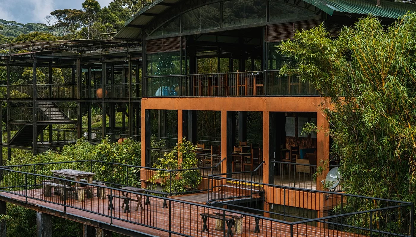 Sri Lanka Safari Odyssey: Nature’s Kingdom