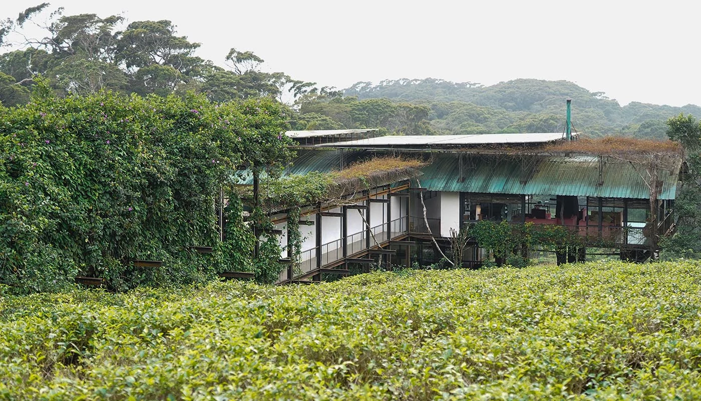Sri Lanka Safari Odyssey: Nature’s Kingdom