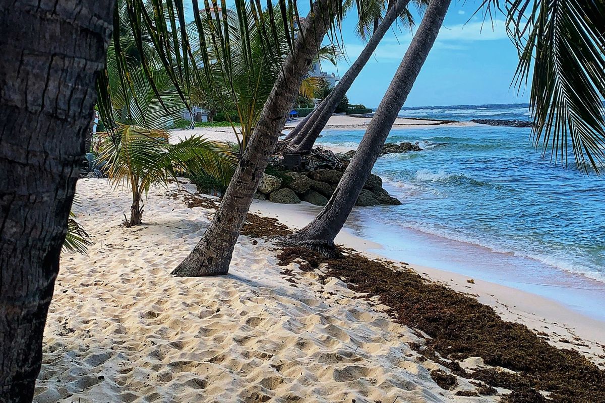 Accra Beach Hotel & Spa Barbados