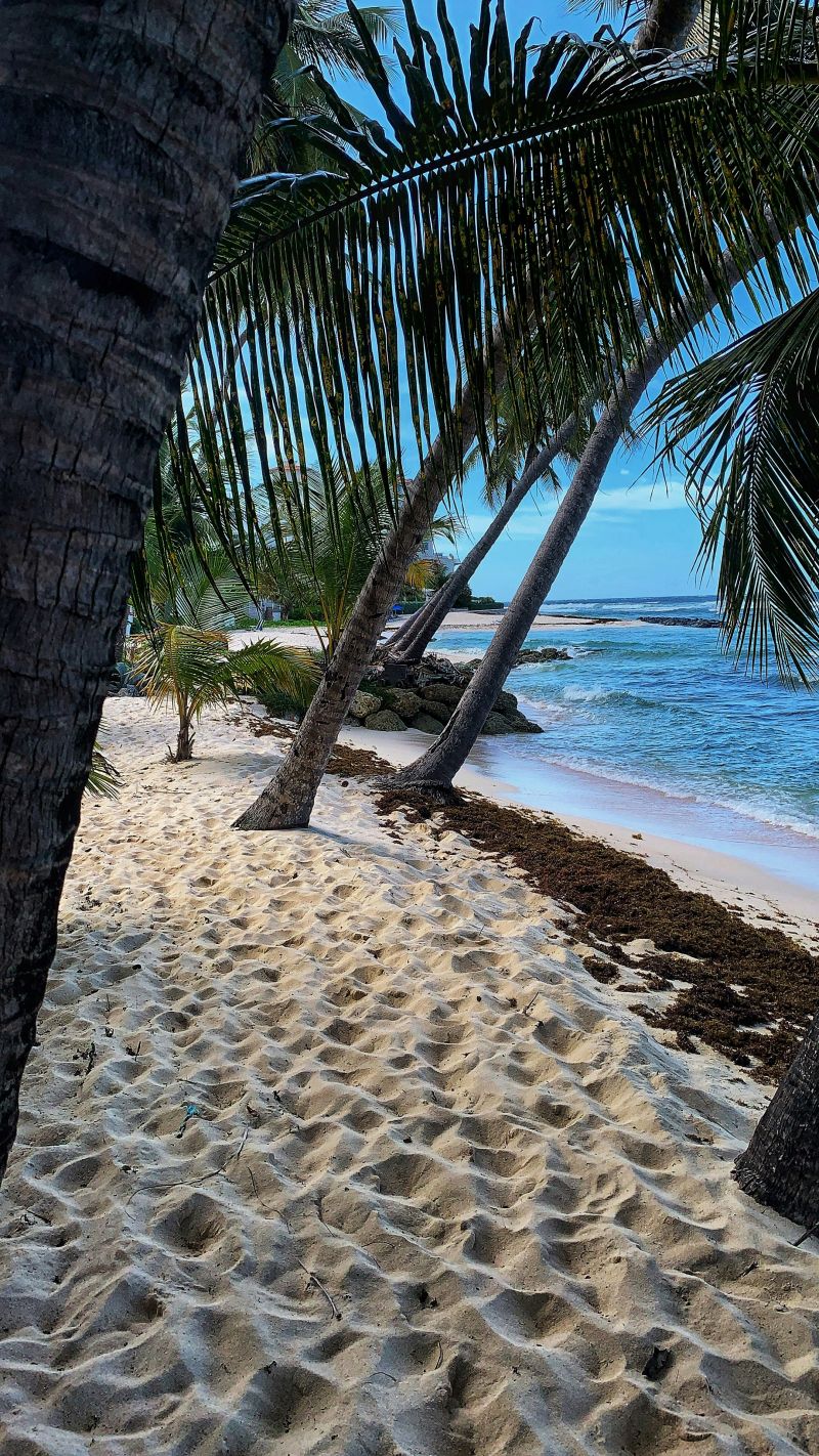 Accra Beach Hotel & Spa Barbados