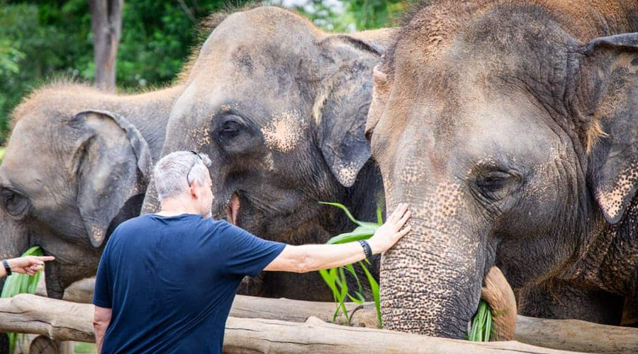 Thailand Travel Deals