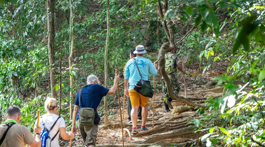 Thailand Jungle Trekking Tour