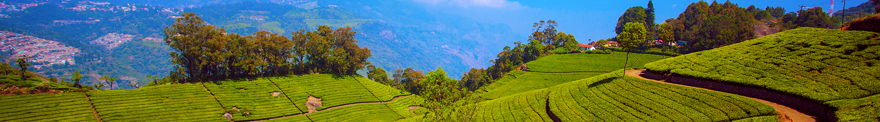 Escape to Kerala