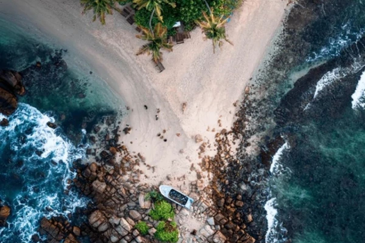 Sri Lanka Safari Odyssey: Nature’s Kingdom