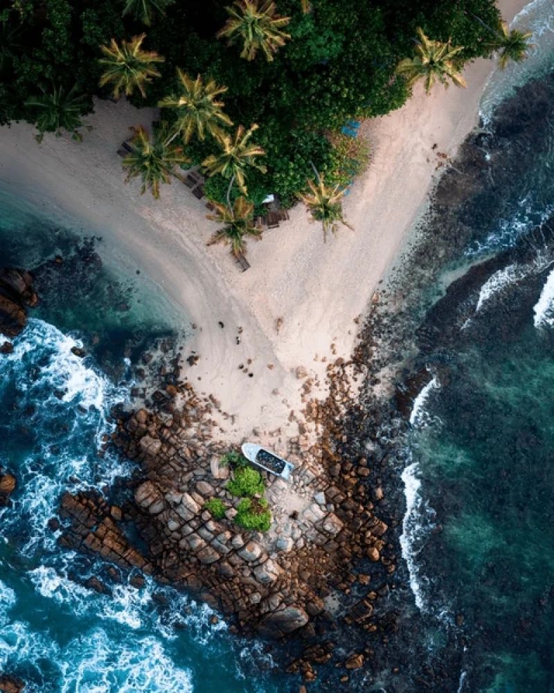 Sri Lanka Safari Odyssey: Nature’s Kingdom