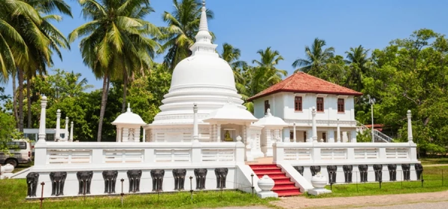 Sri Lanka Safari Odyssey: Nature’s Kingdom