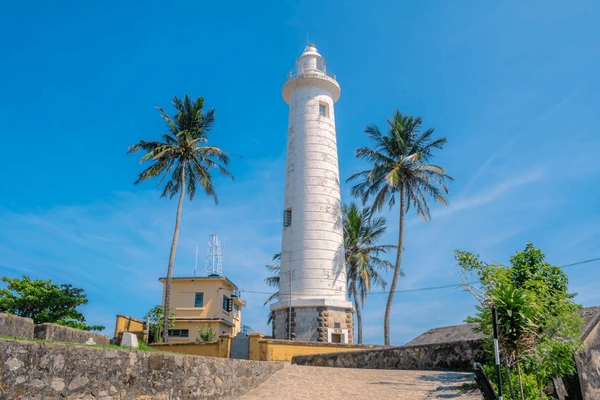 Sri Lanka Tea Trails