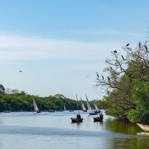 The Gambia