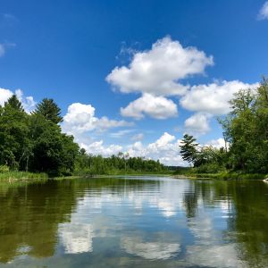 Grand Rapids Hotels