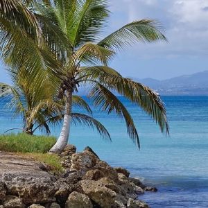 Cheap Flights to Guadeloupe