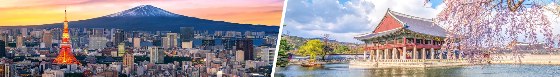 Japan & South Korea holidays