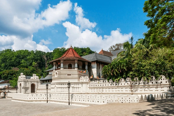 Sri Lanka Tea Trails