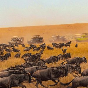 Flights to Kenya from Manchester