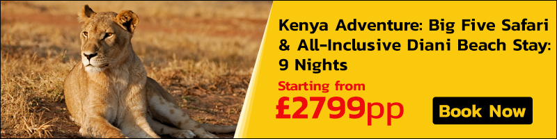 Kenya Wildlife Tour Package