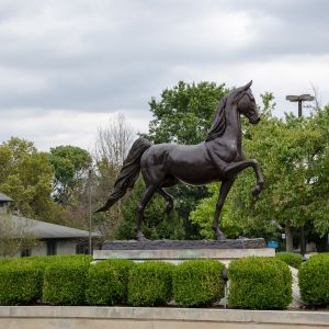 Lexington Hotels