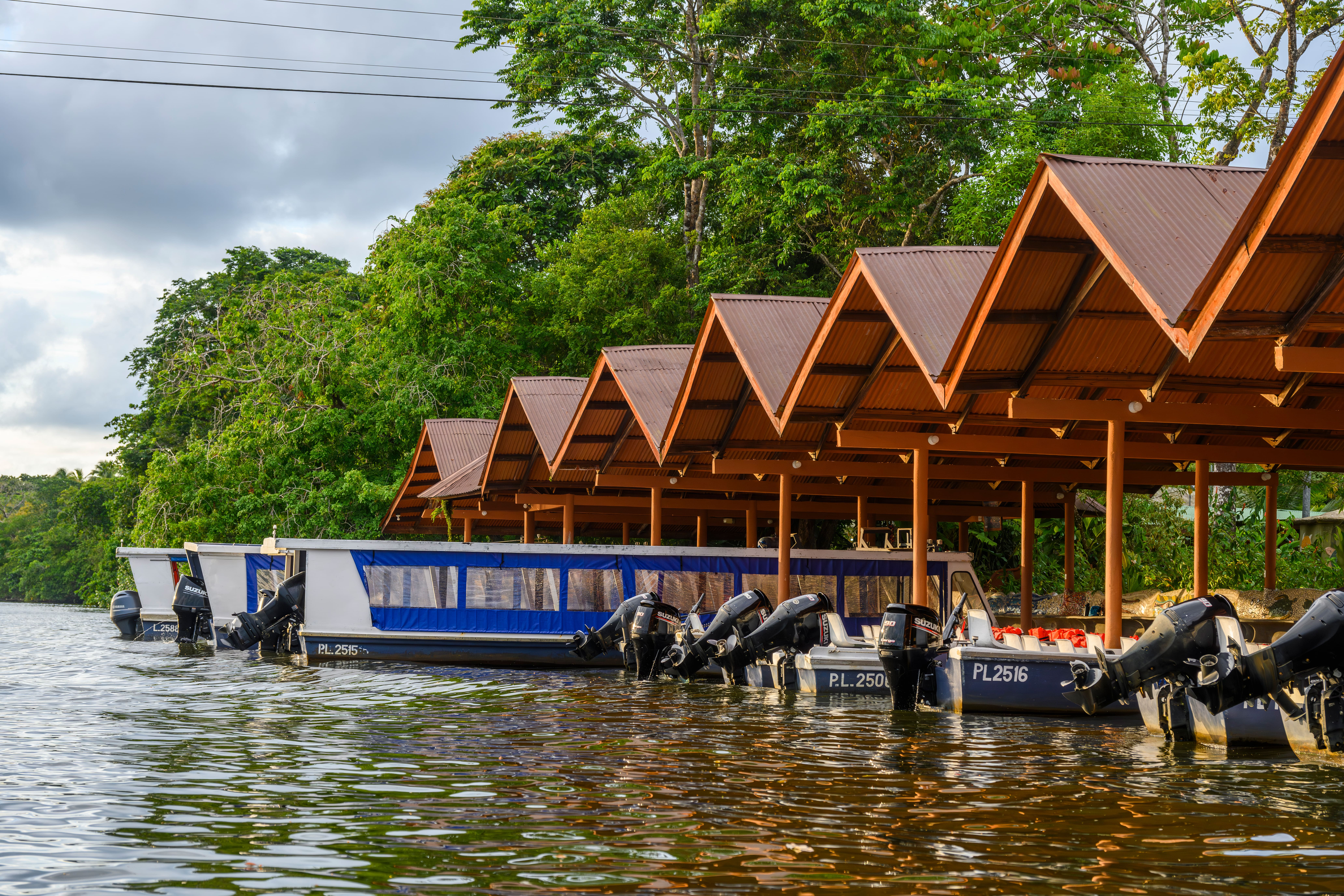 Tortuguero
