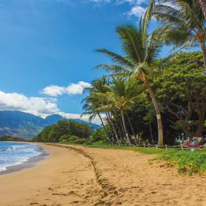 Maui