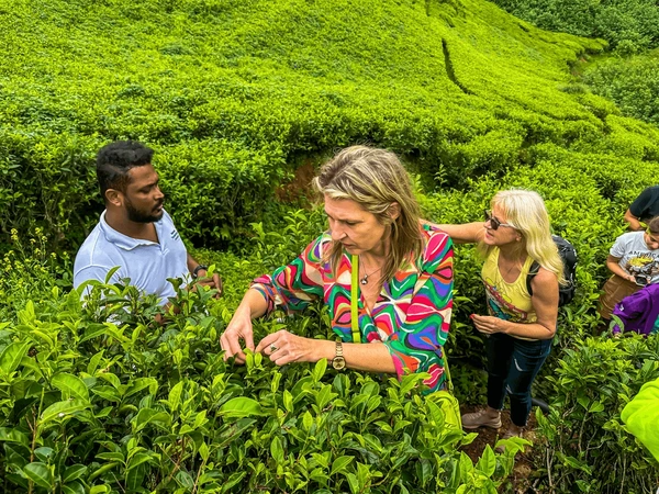 Sri Lanka Tea Trails