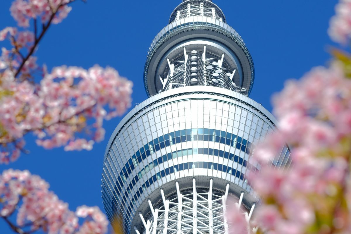 Tokyo, Kyoto & Bali