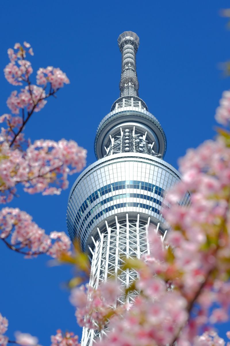Tokyo, Kyoto & Bali