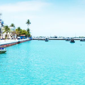 Salvador Flights