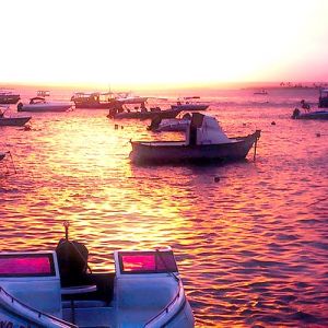 Flights to Sao Paulo