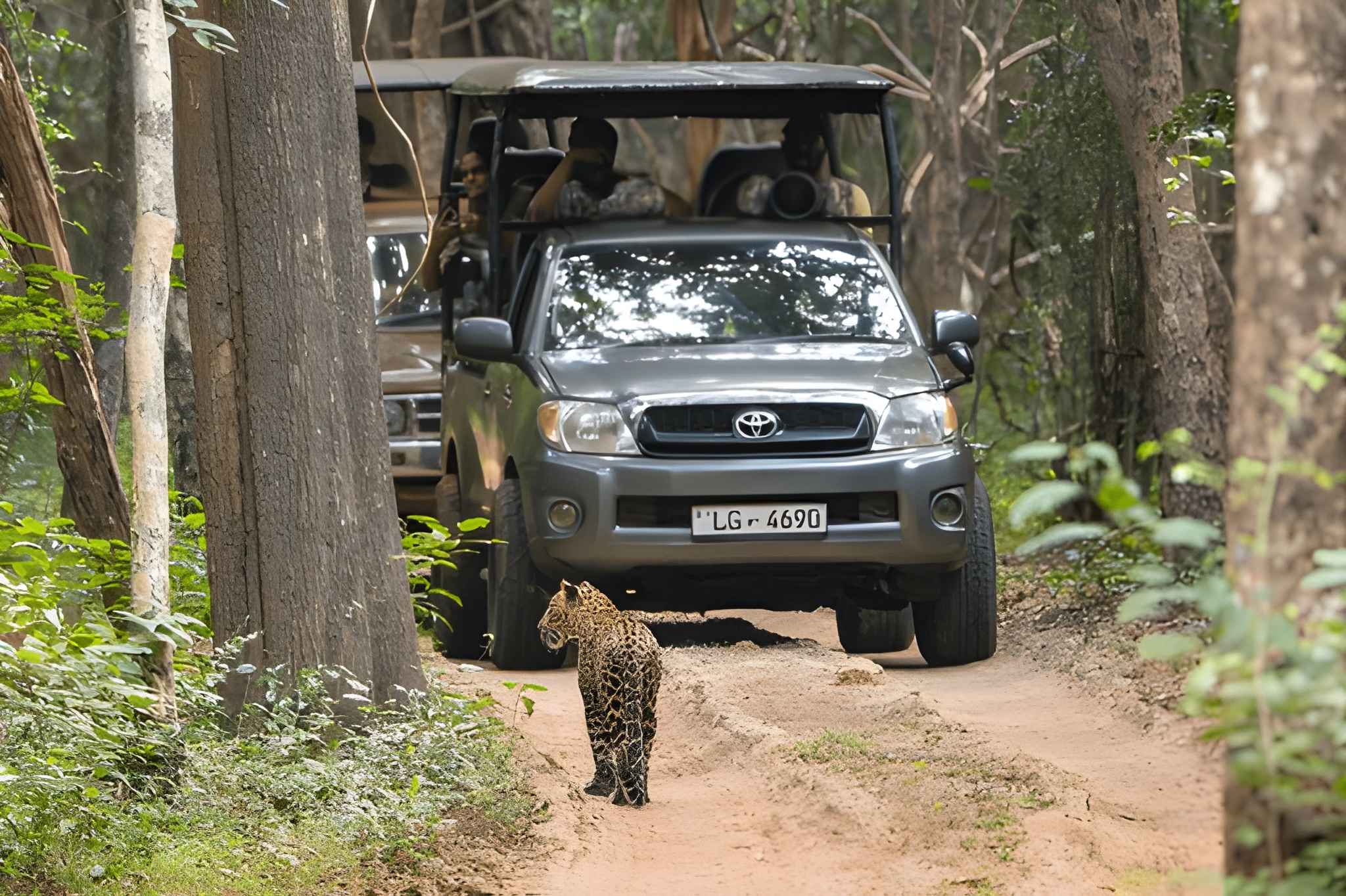 North & East Sri Lanka – 12 Nights