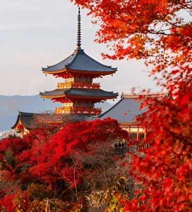 Wonderful Japan - 10 Nights