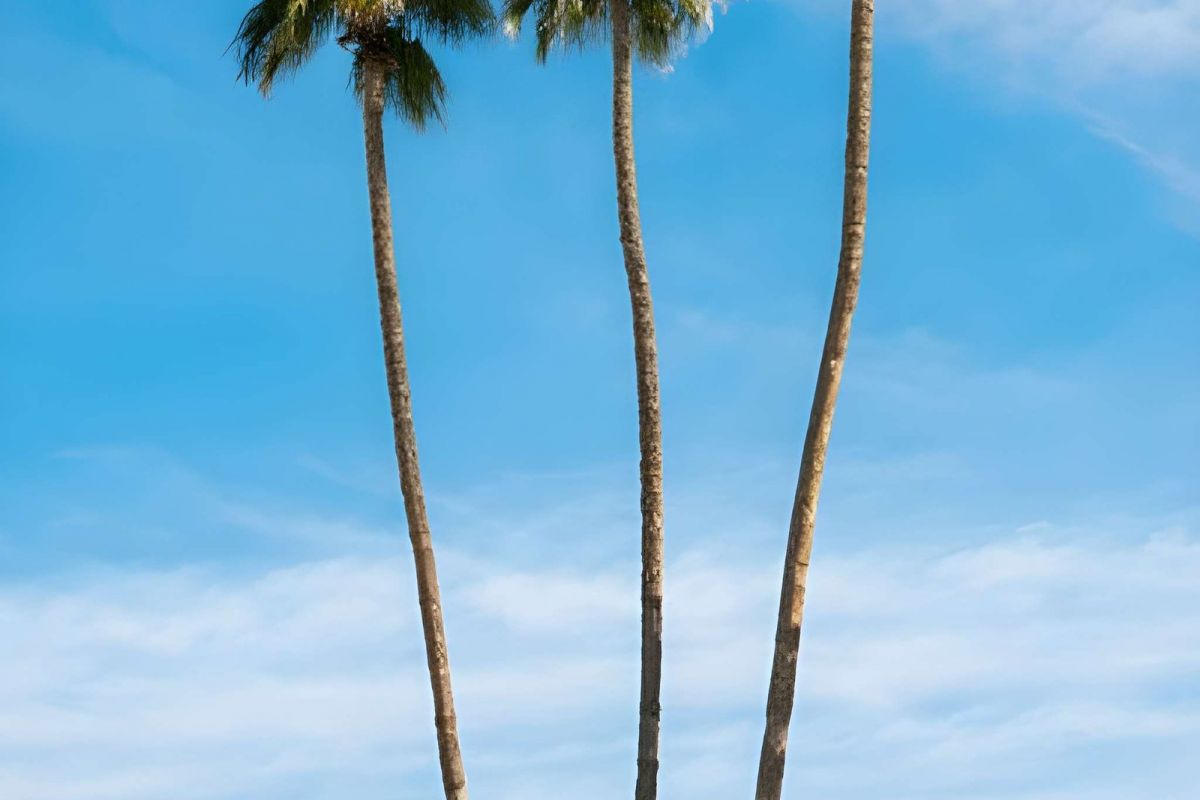 Gran Canaria