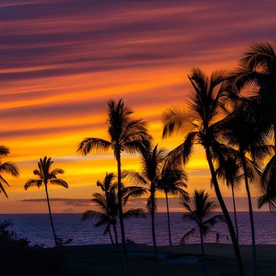 hawaii cruise holiday