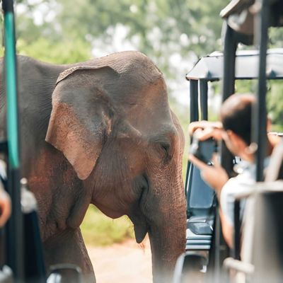 Sri Lanka & Maldives Holidays