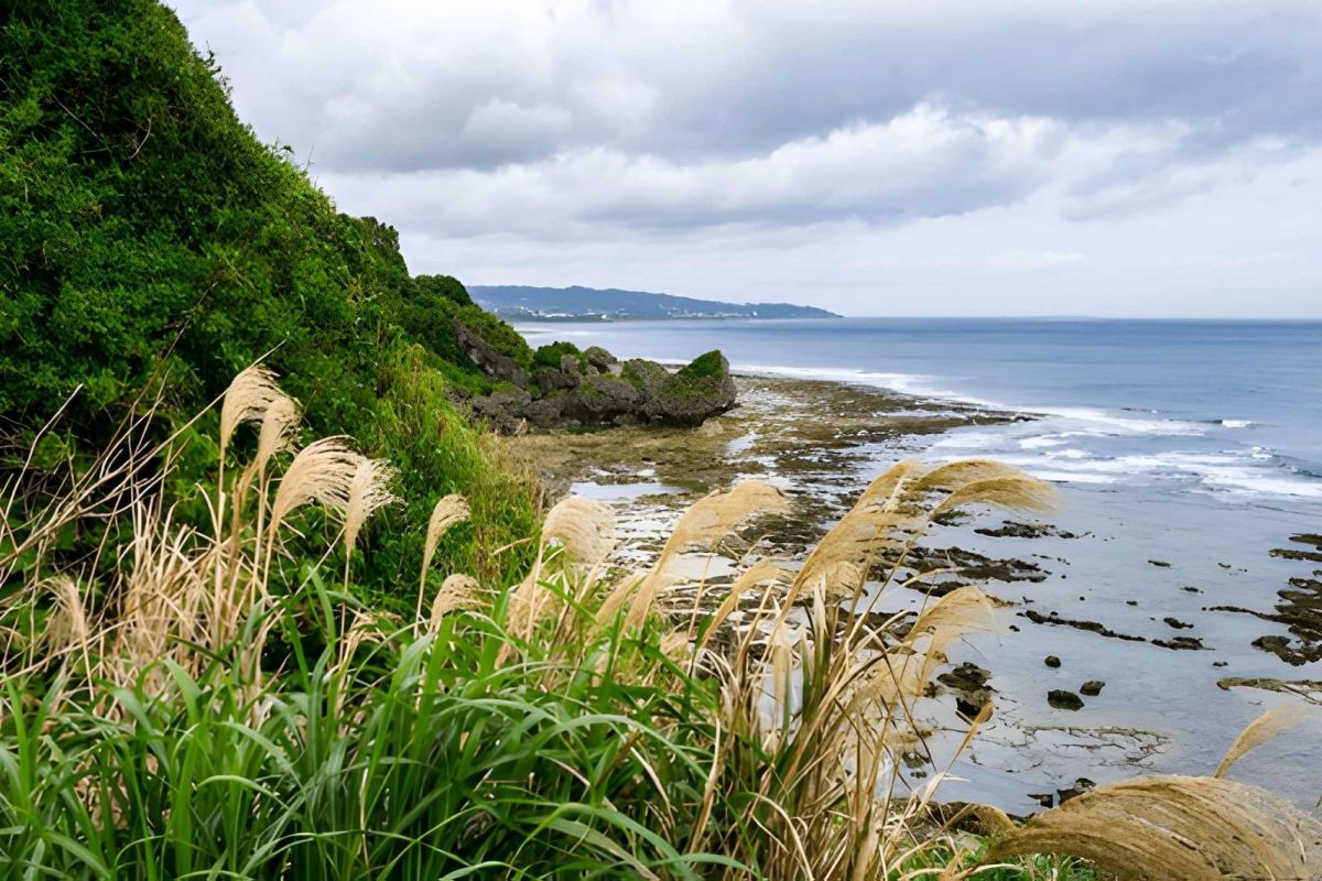 Tokyo & Okinawa