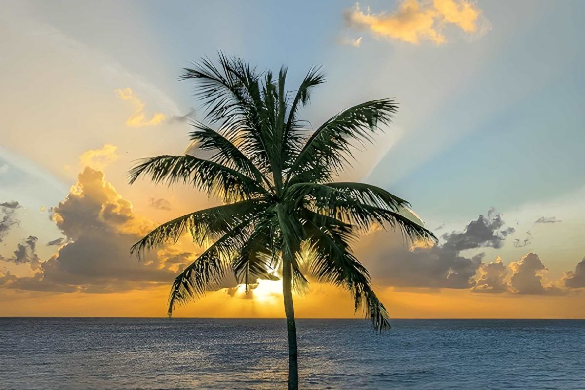 Sandals Royal Barbados