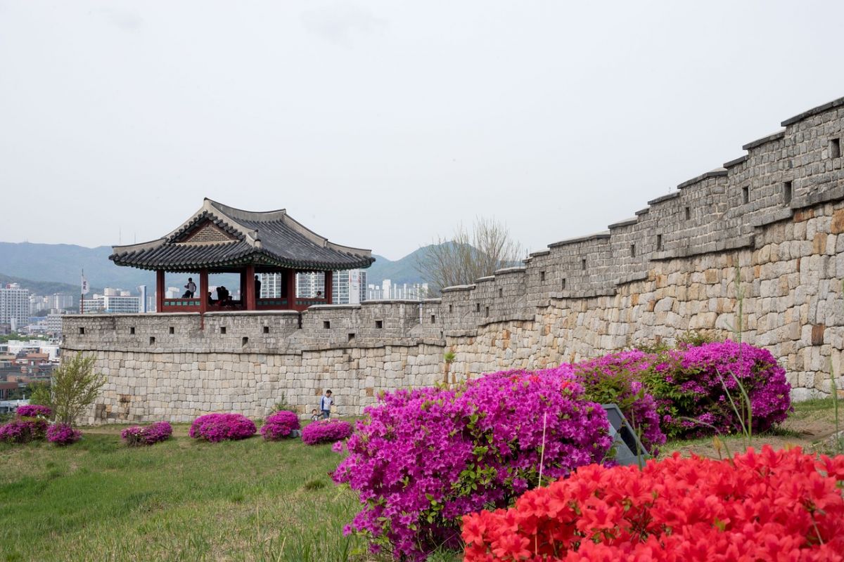 Seoul & Jeju Island Escape South Korea’s City & Island Adventure – 7 Nights