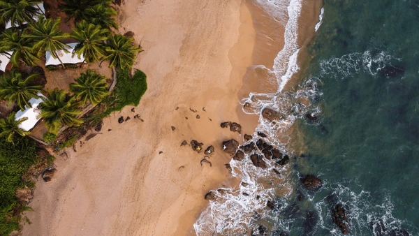 Goa