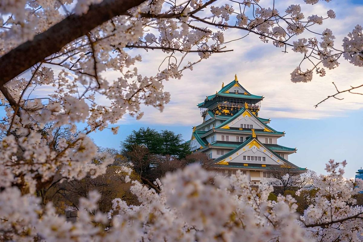 Japan & South Korea Cherry Blossom Cruise – 14 Nights