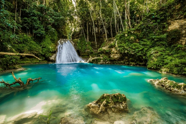 Jamaica Holiday