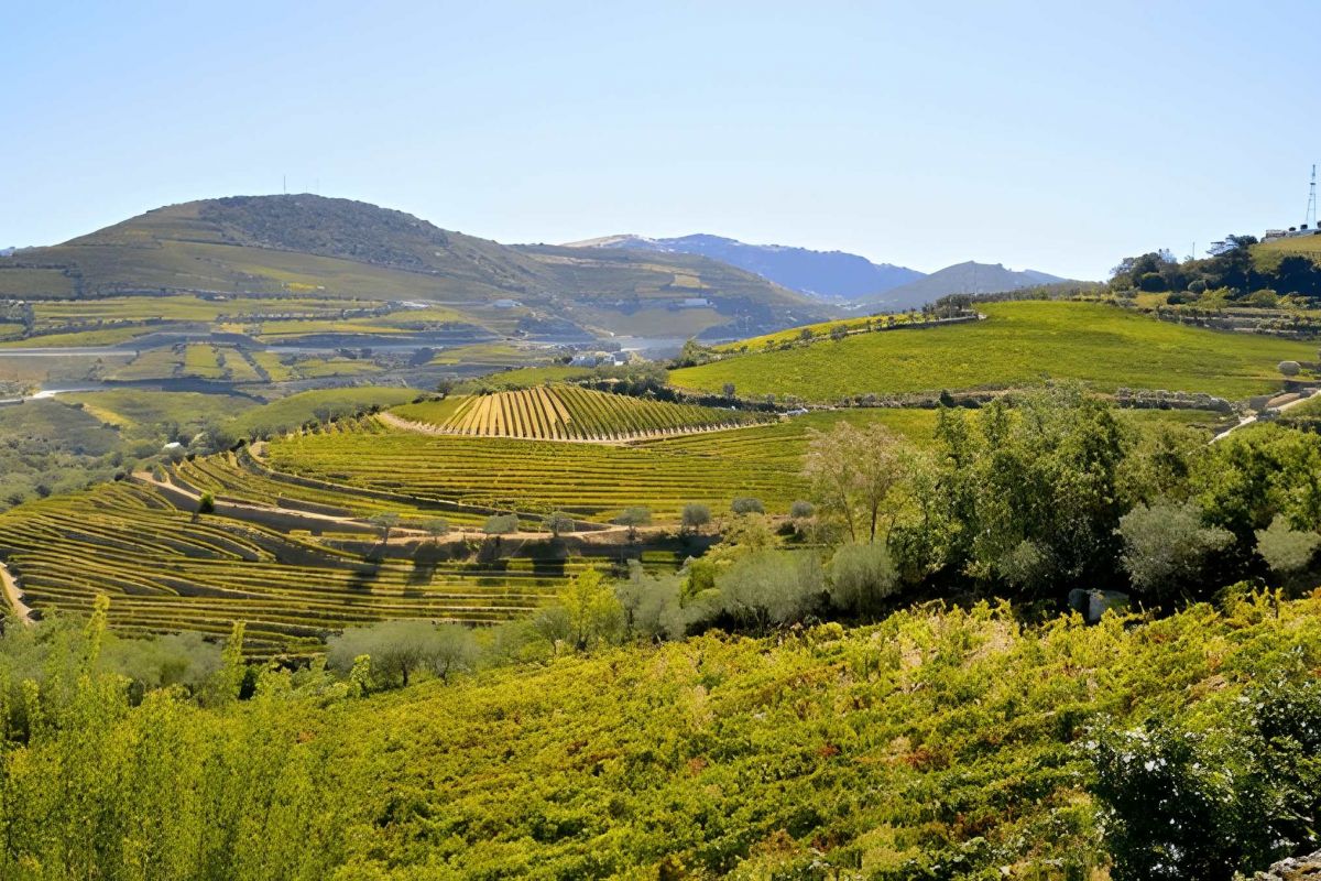Enchanting Porto & Douro River Cruise Escape – 9 Nights