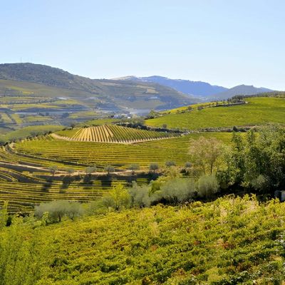 Enchanting Porto & Douro River Cruise Escape – 9 Nights